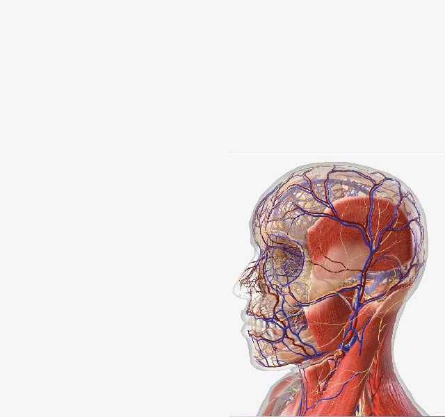 Atlas de Anatomía