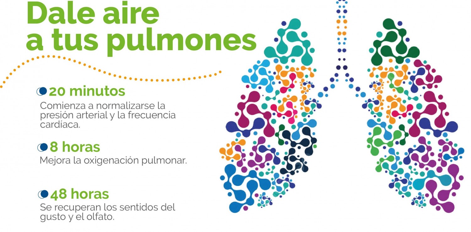 descripcion imagen 1