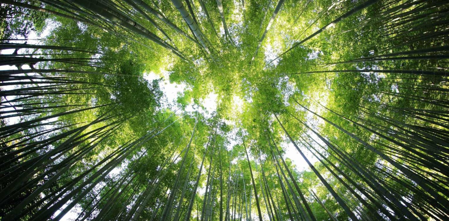 Semana del Medio Ambiente 2025 en Fundación Barceló: comprometidos con la salud del planeta y de las personas