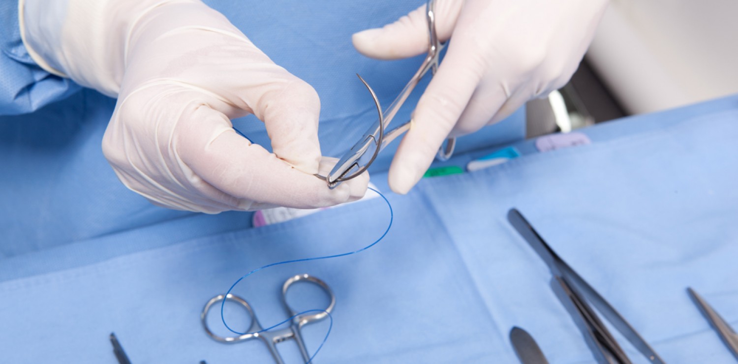 descripcion imagen 1