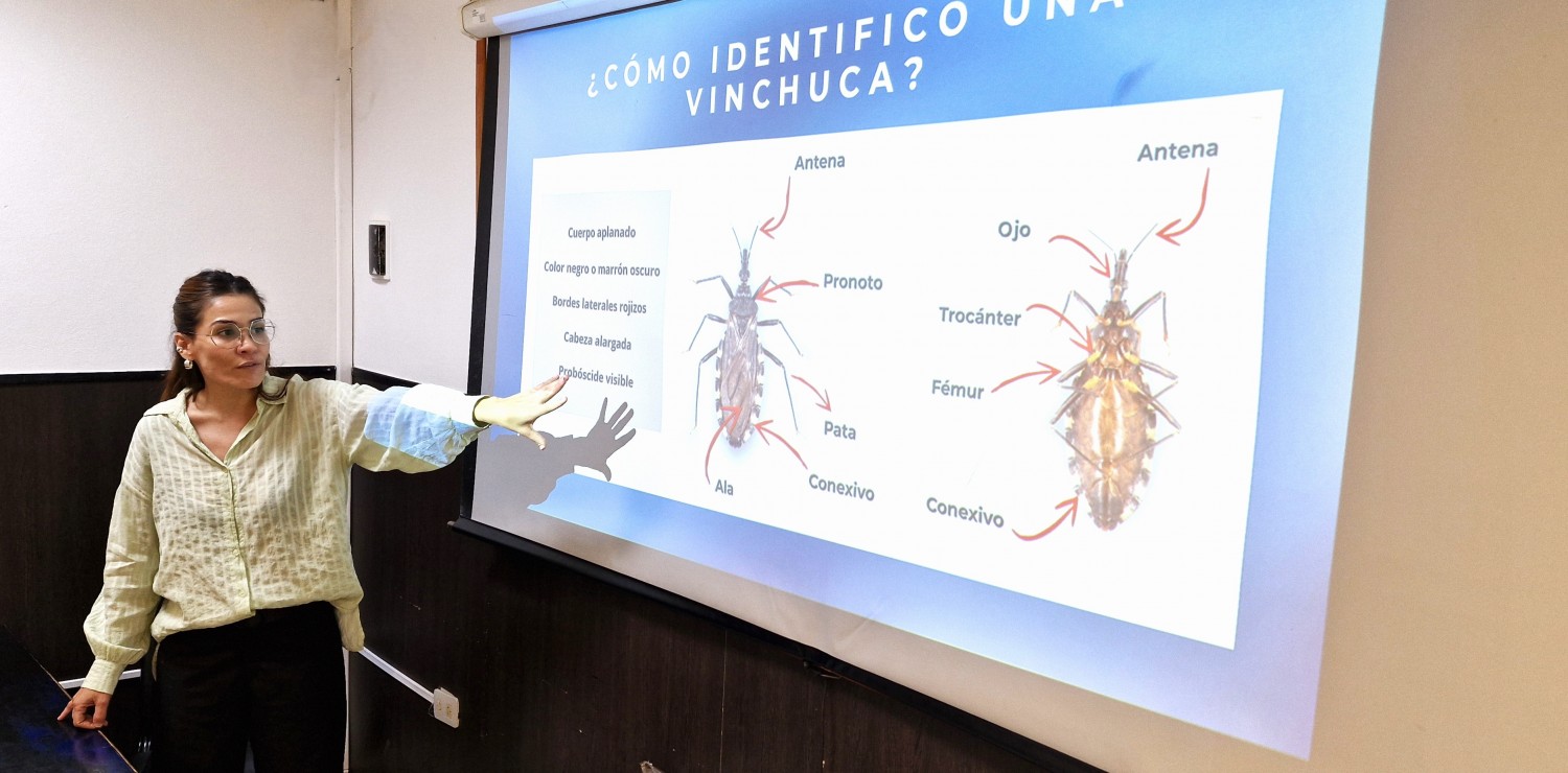 Un nuevo índice ayuda a detectar viviendas con mayor riesgo de Chagas